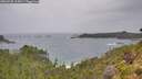 ./images/calvert/foggy-cove/20260730/foggy-cove20260730_115001M.jpg