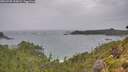 ./images/calvert/foggy-cove/20260730/foggy-cove20260730_120001M.jpg