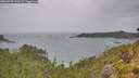 ./images/calvert/foggy-cove/20260730/foggy-cove20260730_120501M.jpg