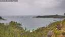 ./images/calvert/foggy-cove/20260730/foggy-cove20260730_121001M.jpg