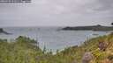 ./images/calvert/foggy-cove/20260730/foggy-cove20260730_121501M.jpg