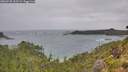 ./images/calvert/foggy-cove/20260730/foggy-cove20260730_122501M.jpg