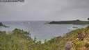 ./images/calvert/foggy-cove/20260730/foggy-cove20260730_123501M.jpg