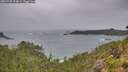 ./images/calvert/foggy-cove/20260730/foggy-cove20260730_124001M.jpg