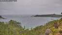 ./images/calvert/foggy-cove/20260730/foggy-cove20260730_124501M.jpg