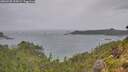 ./images/calvert/foggy-cove/20260730/foggy-cove20260730_125001M.jpg