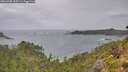 ./images/calvert/foggy-cove/20260730/foggy-cove20260730_125501M.jpg