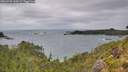 ./images/calvert/foggy-cove/20260730/foggy-cove20260730_130501M.jpg