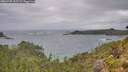 ./images/calvert/foggy-cove/20260730/foggy-cove20260730_131501M.jpg