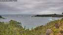 ./images/calvert/foggy-cove/20260730/foggy-cove20260730_132001M.jpg