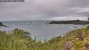 ./images/calvert/foggy-cove/20260730/foggy-cove20260730_133001M.jpg