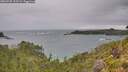 ./images/calvert/foggy-cove/20260730/foggy-cove20260730_133501M.jpg