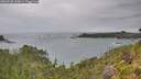 ./images/calvert/foggy-cove/20260730/foggy-cove20260730_134001M.jpg