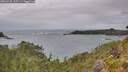 ./images/calvert/foggy-cove/20260730/foggy-cove20260730_135501M.jpg