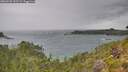 ./images/calvert/foggy-cove/20260730/foggy-cove20260730_141501M.jpg