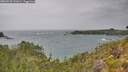 ./images/calvert/foggy-cove/20260730/foggy-cove20260730_142002M.jpg