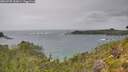 ./images/calvert/foggy-cove/20260730/foggy-cove20260730_143001M.jpg