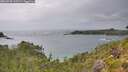 ./images/calvert/foggy-cove/20260730/foggy-cove20260730_143501M.jpg