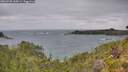 ./images/calvert/foggy-cove/20260730/foggy-cove20260730_144501M.jpg
