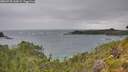./images/calvert/foggy-cove/20260730/foggy-cove20260730_145002M.jpg