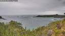 ./images/calvert/foggy-cove/20260730/foggy-cove20260730_145501M.jpg
