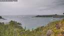 ./images/calvert/foggy-cove/20260730/foggy-cove20260730_151501M.jpg