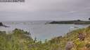 ./images/calvert/foggy-cove/20260730/foggy-cove20260730_154001M.jpg