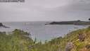 ./images/calvert/foggy-cove/20260730/foggy-cove20260730_160501M.jpg