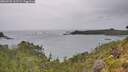 ./images/calvert/foggy-cove/20260730/foggy-cove20260730_161501M.jpg