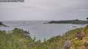 ./images/calvert/foggy-cove/20260730/foggy-cove20260730_162501M.jpg