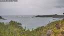 ./images/calvert/foggy-cove/20260730/foggy-cove20260730_163501M.jpg