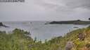 ./images/calvert/foggy-cove/20260730/foggy-cove20260730_164501M.jpg