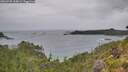 ./images/calvert/foggy-cove/20260730/foggy-cove20260730_165001M.jpg