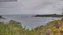 ./images/calvert/foggy-cove/20260730/foggy-cove20260730_170502M.jpg