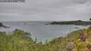 ./images/calvert/foggy-cove/20260730/foggy-cove20260730_171001M.jpg