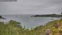 ./images/calvert/foggy-cove/20260730/foggy-cove20260730_172001M.jpg