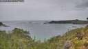 ./images/calvert/foggy-cove/20260730/foggy-cove20260730_172501M.jpg