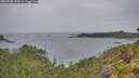 ./images/calvert/foggy-cove/20260730/foggy-cove20260730_173501M.jpg