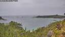 ./images/calvert/foggy-cove/20260730/foggy-cove20260730_174502M.jpg