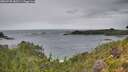 ./images/calvert/foggy-cove/20260730/foggy-cove20260730_182501M.jpg