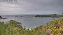 ./images/calvert/foggy-cove/20260730/foggy-cove20260730_204001M.jpg