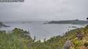./images/calvert/foggy-cove/20260731/foggy-cove20260731_063002M.jpg