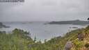 ./images/calvert/foggy-cove/20260731/foggy-cove20260731_063501M.jpg