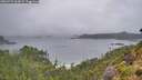 ./images/calvert/foggy-cove/20260731/foggy-cove20260731_064501M.jpg