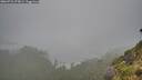 ./images/calvert/foggy-cove/20260731/foggy-cove20260731_073001M.jpg