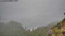 ./images/calvert/foggy-cove/20260731/foggy-cove20260731_073501M.jpg