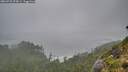 ./images/calvert/foggy-cove/20260731/foggy-cove20260731_074501M.jpg