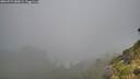 ./images/calvert/foggy-cove/20260731/foggy-cove20260731_080001M.jpg