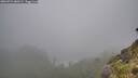 ./images/calvert/foggy-cove/20260731/foggy-cove20260731_080501M.jpg