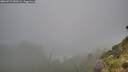 ./images/calvert/foggy-cove/20260731/foggy-cove20260731_081001M.jpg
